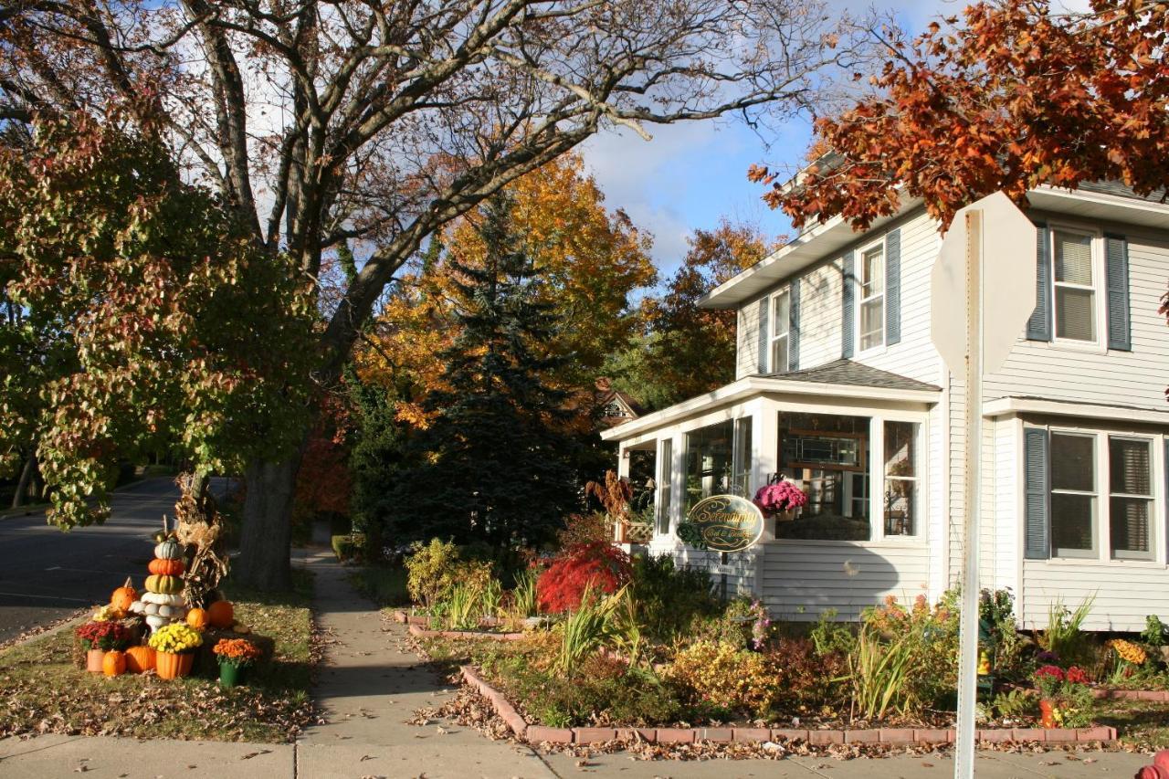 Serendipity Bed And Breakfast Согатак Экстерьер фото